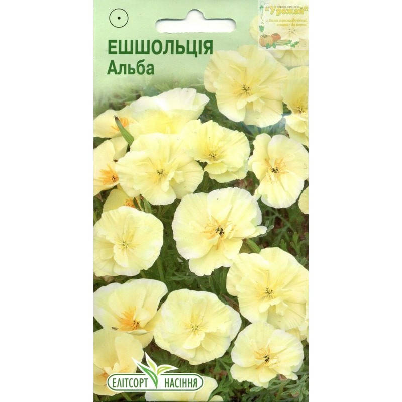 

Семена цветы Эшшольция Альба, 0,2 г, Белый