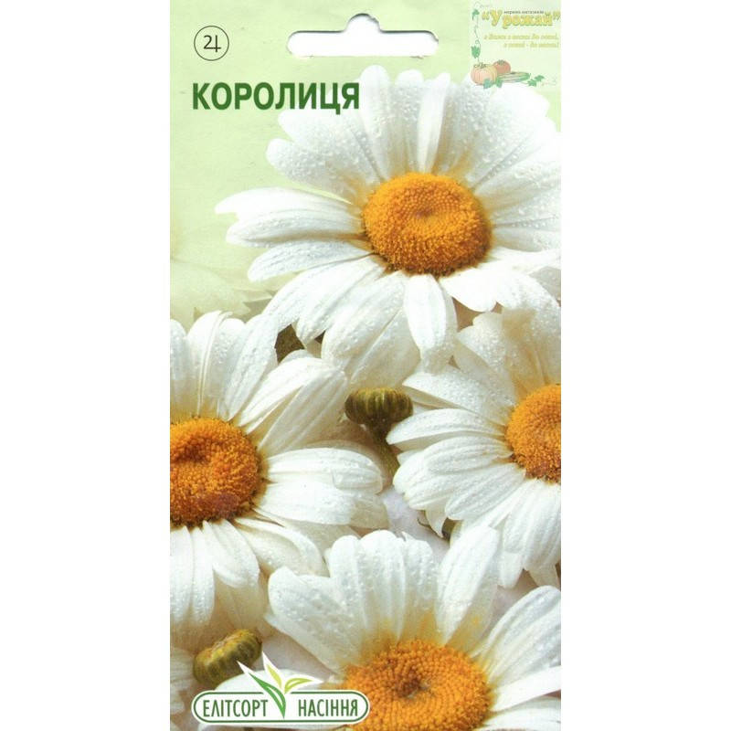

Семена цветы Нивяник белый, 0,2 г
