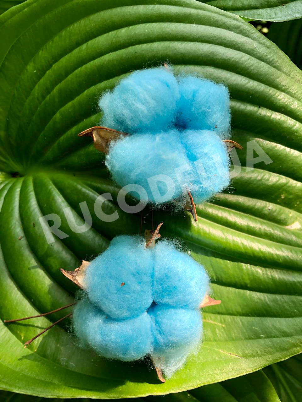 

Бавовна без ніжки блакитна. Бавовна для декору/букетів, Голубой