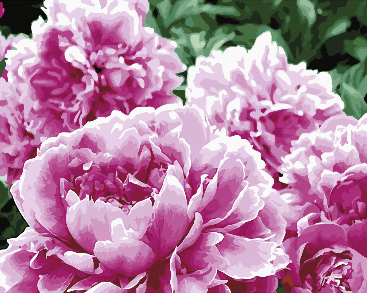 

Картина по номерам Цветение пионов 40 х 50 см (AS0523)