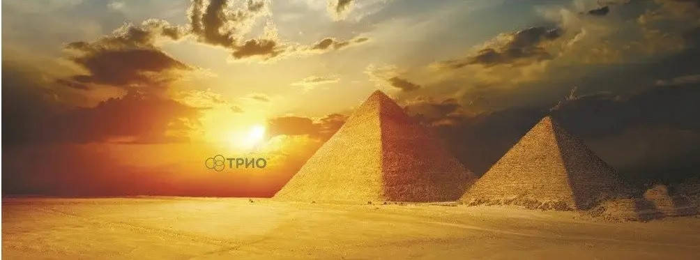 

Настенный обогреватель VIP — Египет (600 вт, 1,5 х 0,6 м)