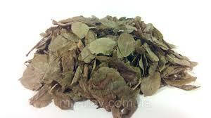 

Черника листья с пагонами 100 грамм