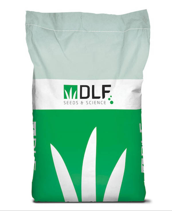 

Клевер белый Ривендел DLF Trifolium 1 кг