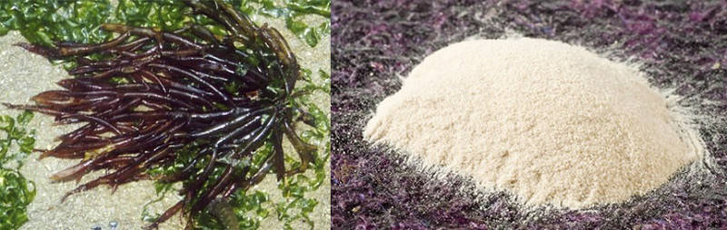 

Агар-агар, 100г