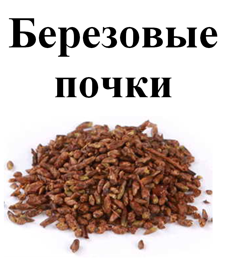 

Березовые почки, 100 грамм