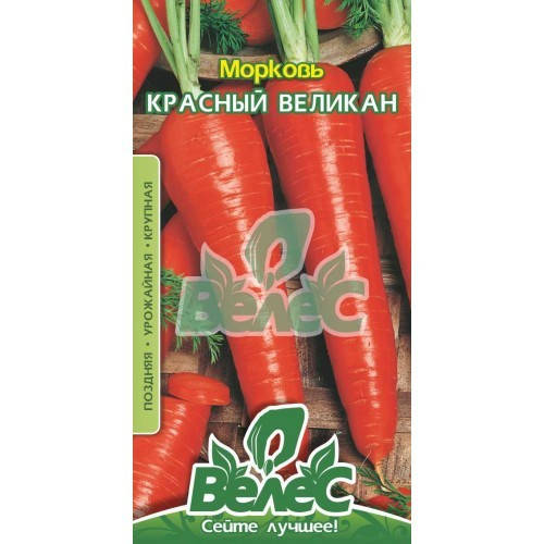 

Семена моркови Красный великан 20г ТМ ВЕЛЕС