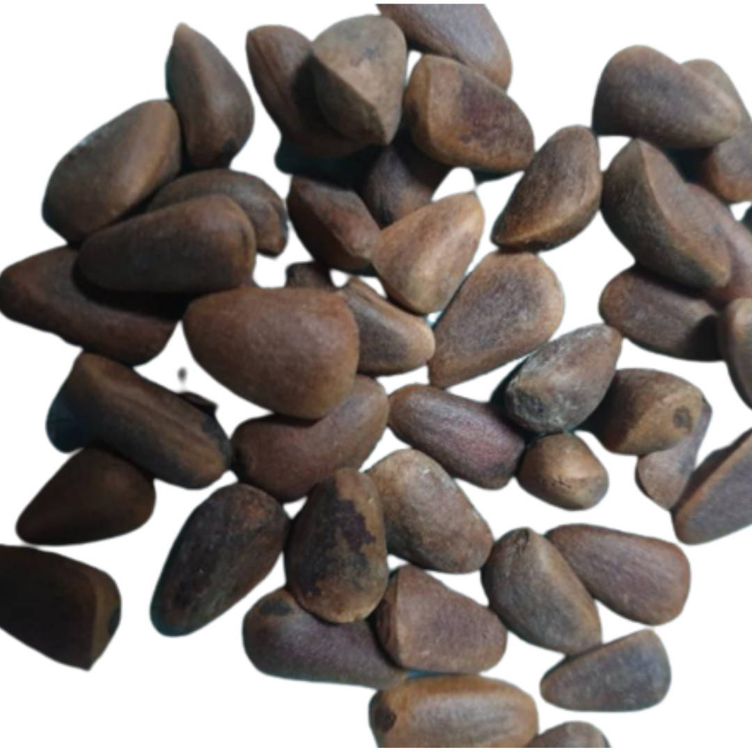 

Кедровые орехи сибирские крупные 50г (Свежий урожай) лат. Cedrus