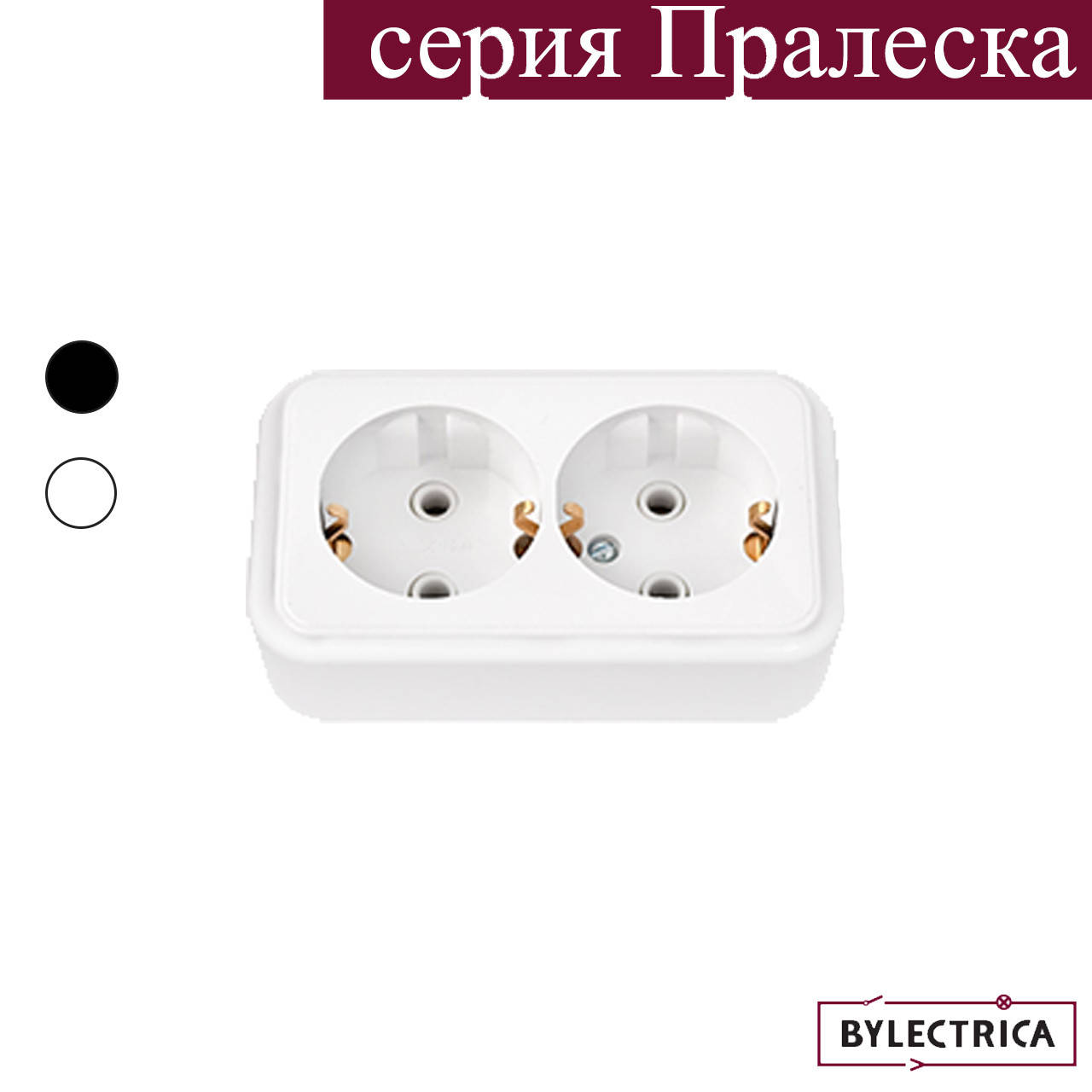 

Розетка двухместная накладная с землянным контактом BYLECTRICA (РА 16-261)