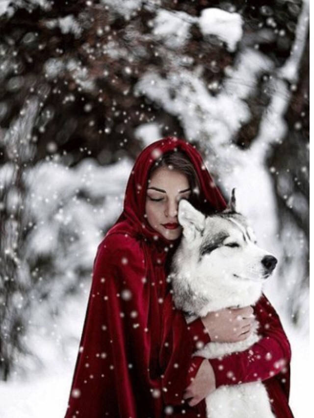 

50*40см Мы приручаем тех кого мы любим, алмазная живопись, полная выкладка