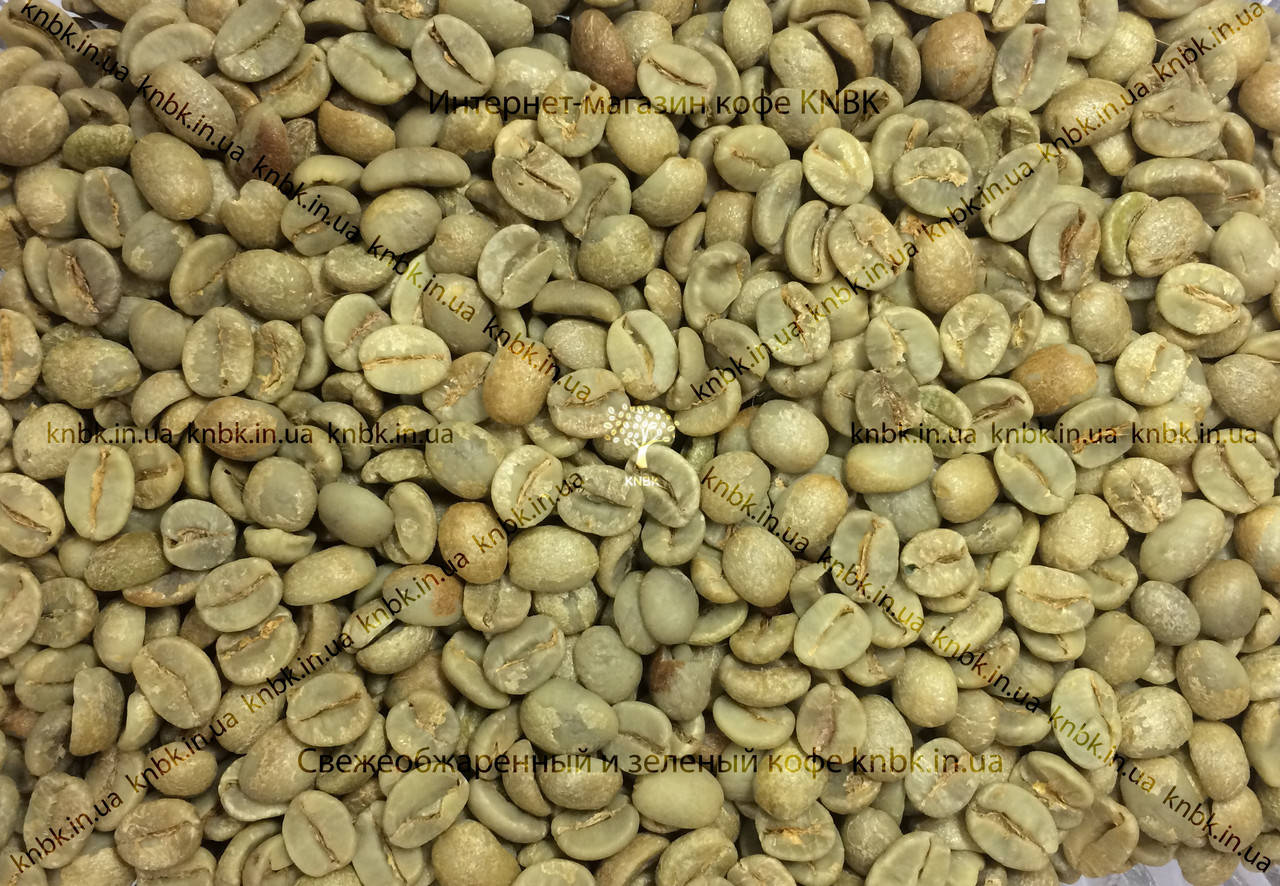 

Арабика Бразилия Сантос (Arabica Brazil Santos) 1кг. ЗЕЛЕНЫЙ