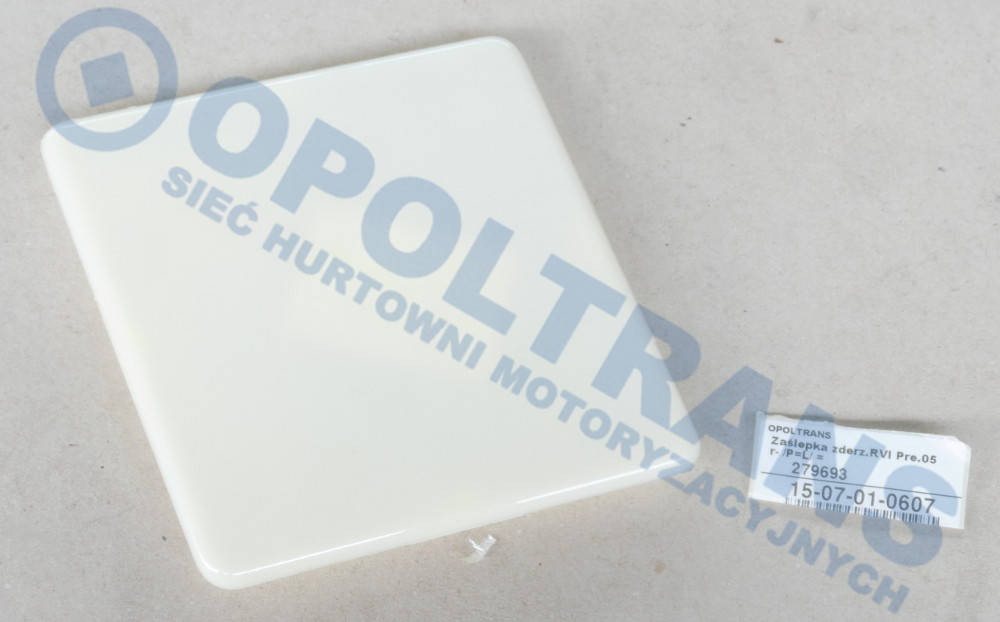 

Заглушка бампера Renault Premium DXI
