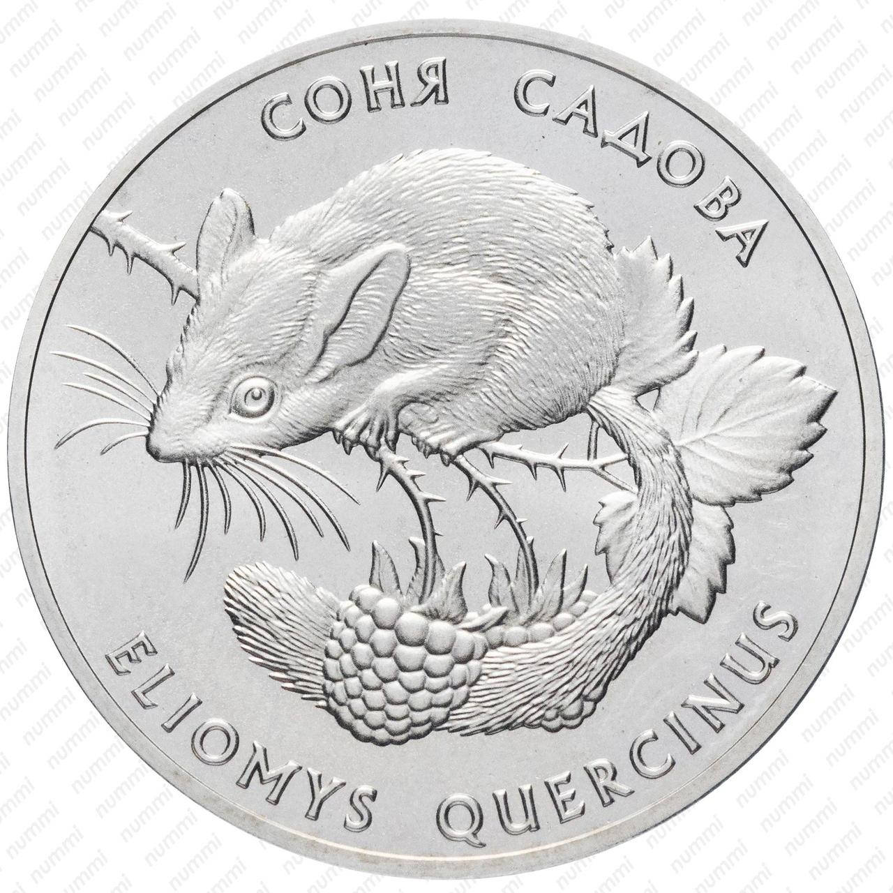 

Монета "Соня садовая" 2 гривны. 1999 год.