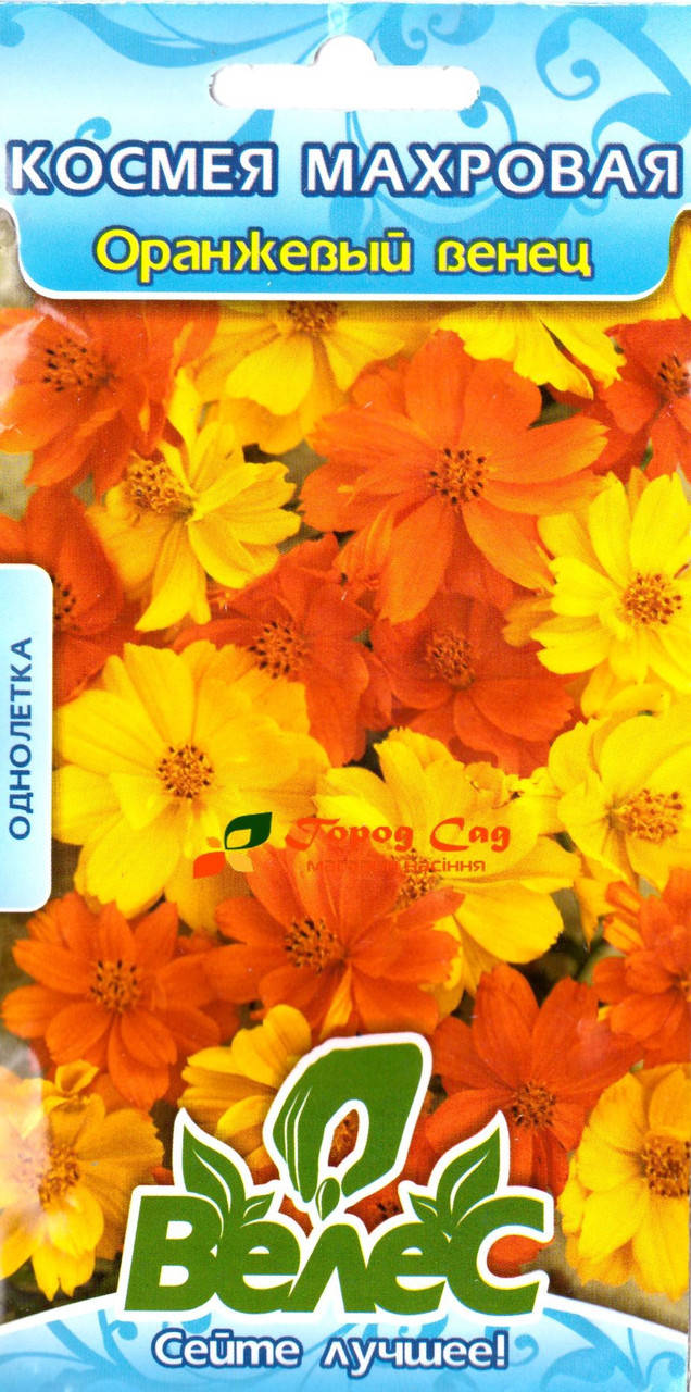 

Семена космеи Оранжевый венец 0,5 г ТМ ВЕЛЕС