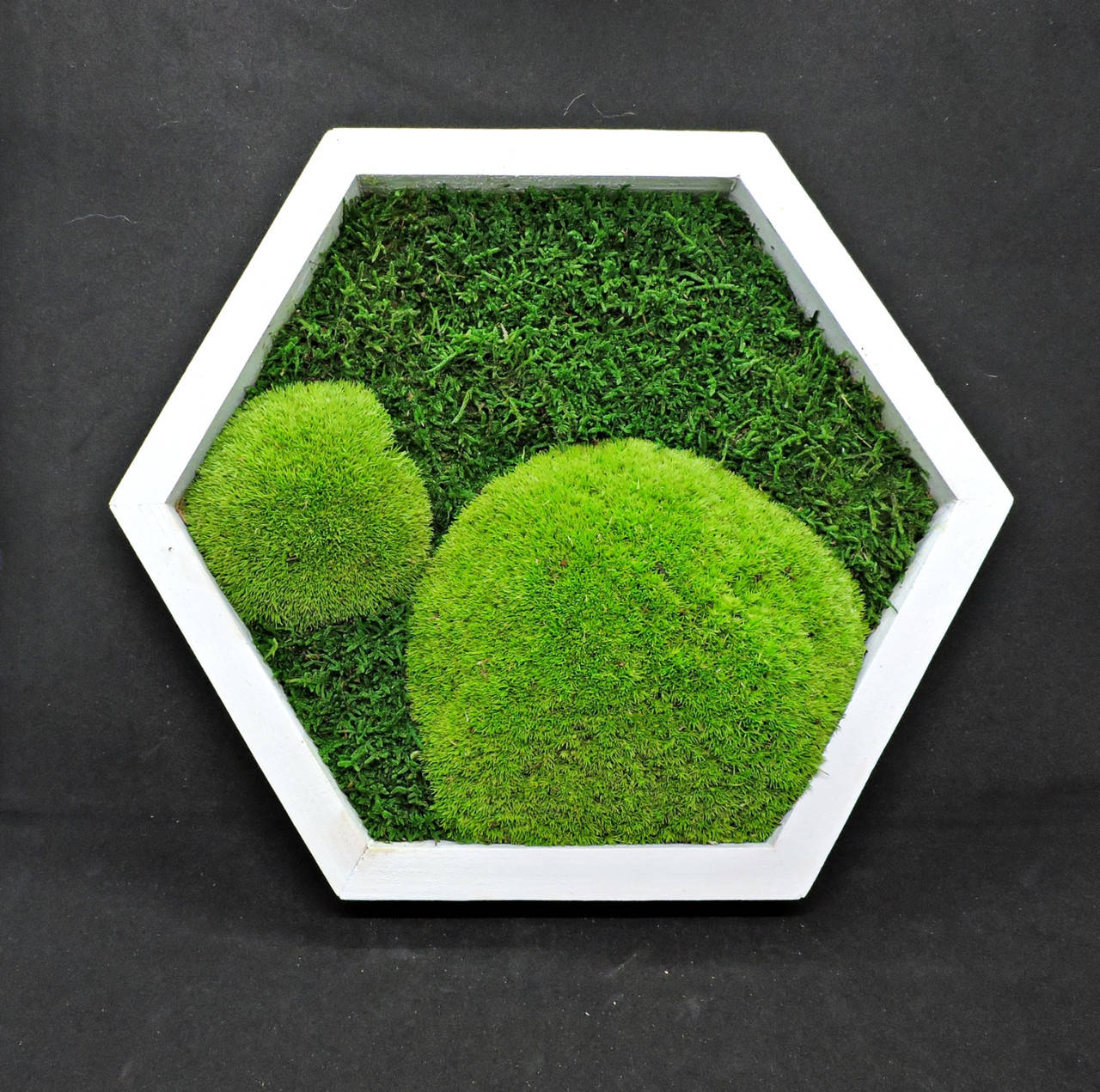 

Мох в сотах, Плитка со мхом, стабилизированный мох, 18 см , мох на стены