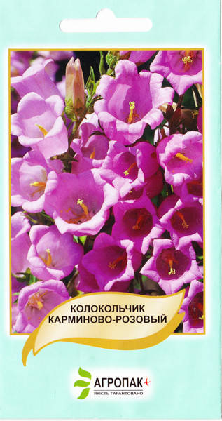 

Колокольчик средний карминно-розовый 0,1