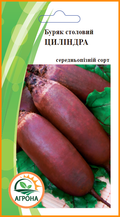 

Буряк столовий ЦИЛІНДРА 3 гр.
