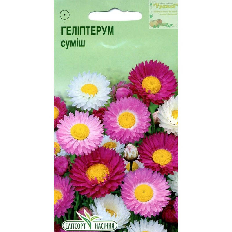 

Семена цветы Гелиптерум, 0,3 г