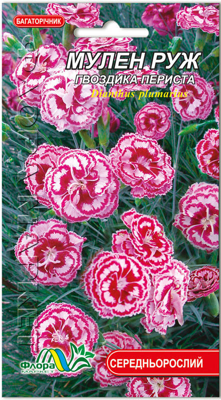 

Семена цветов Гвоздика Перистая Мулен Руж Флора маркет, Розовый