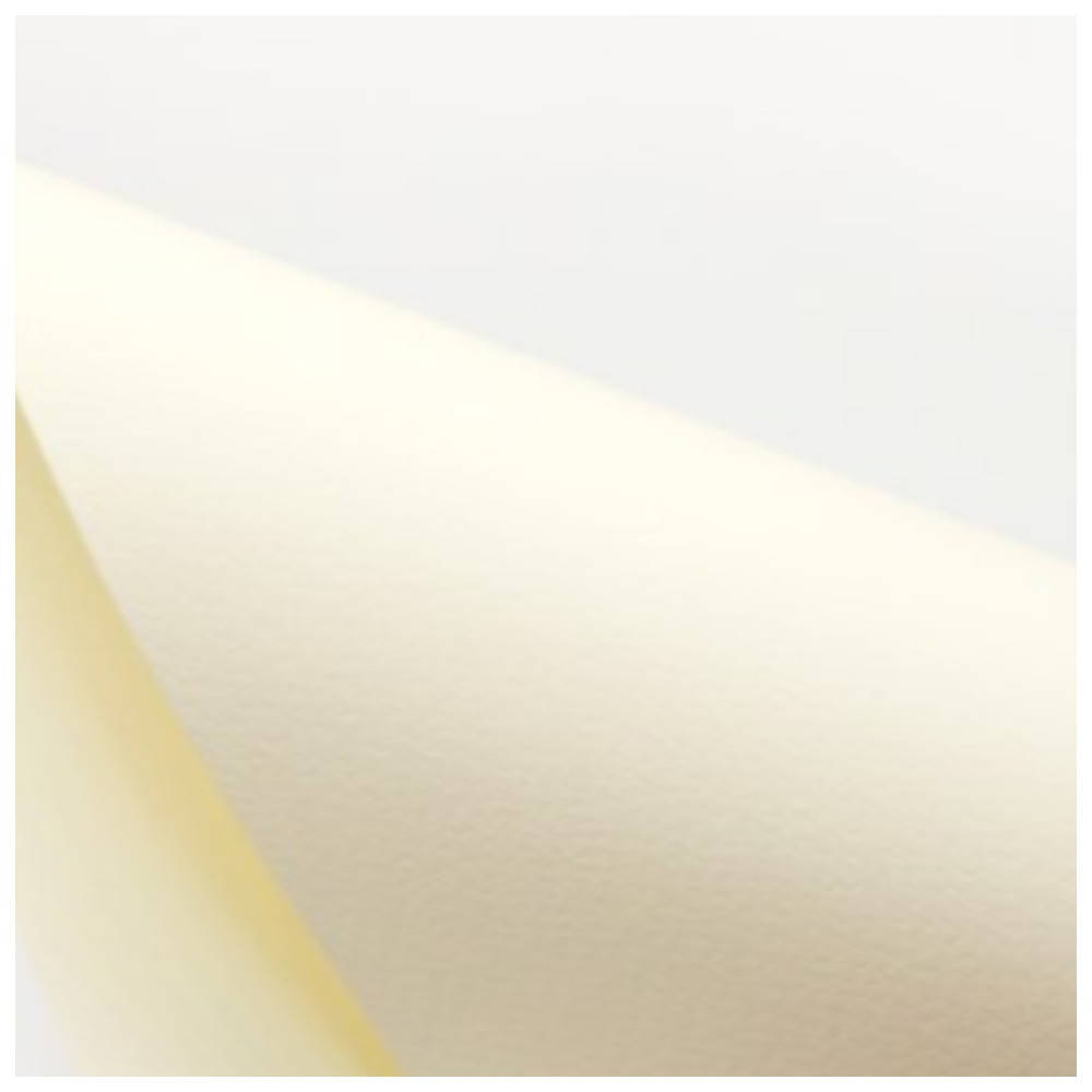 

Картон дизайнерский Tintoretto neve 300 г/м2 (белый)