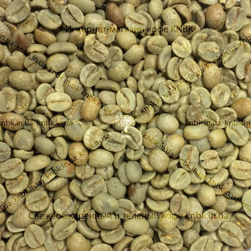 

Арабика Бразилия Сантос (Arabica Brazil Santos) 500г. ЗЕЛЕНЫЙ кофе
