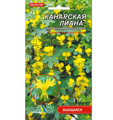 

Настурция Канарская лиана цветы однолетние, семена 1 г, Желтый