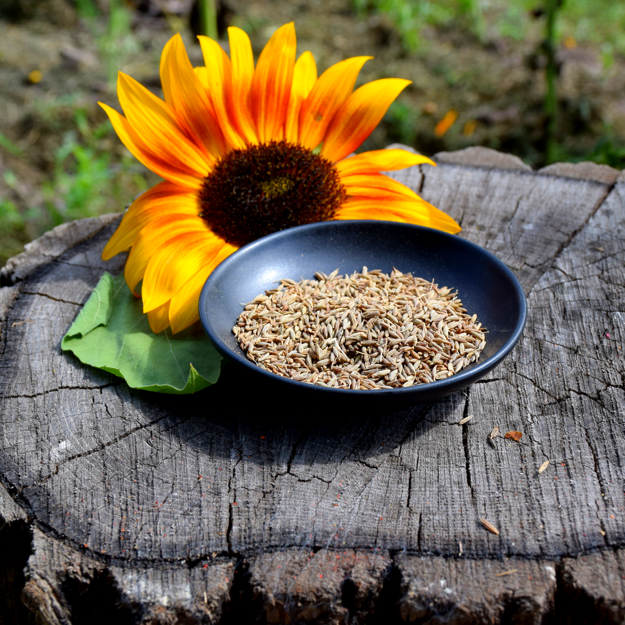 

Зира (кумин) сушеные семена 100г.