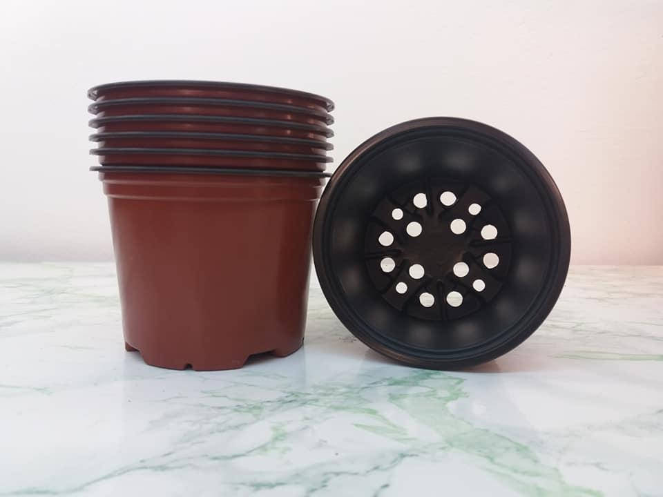 

Горшок Modiform диаметр 10см на 0,4л
