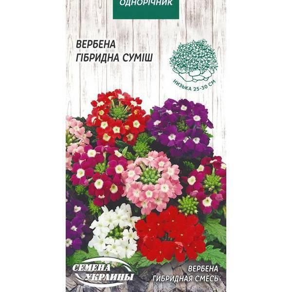 

Вербена Гибридная смесь 0,1г (10пачек) ТМ СЕМЕНА УКРАИНЫ