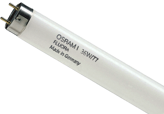 

Лампа люмінесцентна фіто Fluora L36 Ватт /77(колір) G13 (120 см.). OSRAM.
