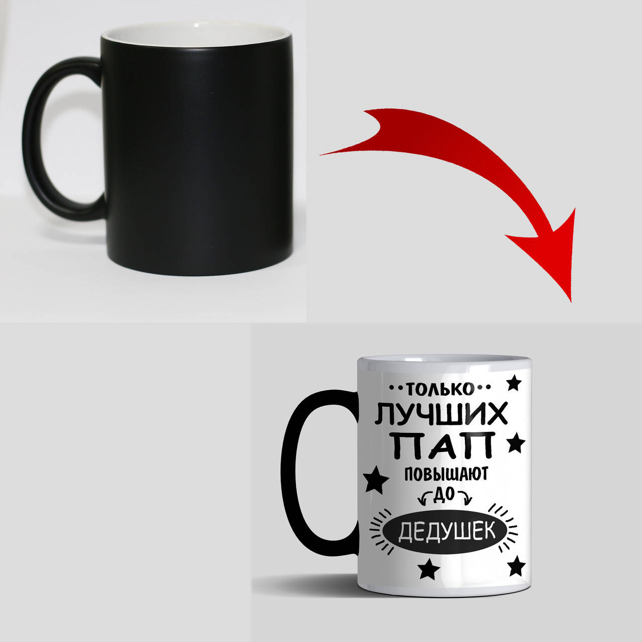 

Кружка для будущего дедушки - Только лучших пап повышают до дедушек хамелеон