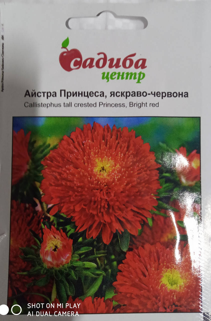 

Насіння айстра Принцеса яскраво- червона 0,2 гр."HEM ZADEN" Нідерланди, Красный