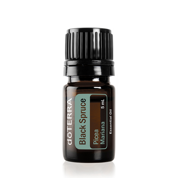 

Черная ель, эфирное масло doTERRA / Black Spruce ESSENTIAL OIL (Picea mariana) 5 мл