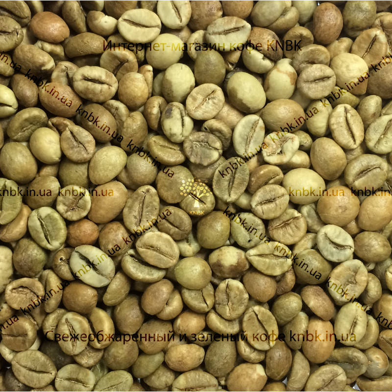 

Робуста Индия Черри (India Cherry ААА) 500г. ЗЕЛЕНЫЙ кофе