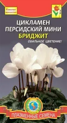 

Семена Цикламен персидский мини Бриджит 3 сем Плазменные Семена, Белый