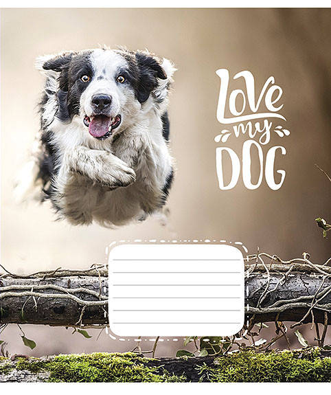 

Тетрадь Школярик 12 листов косая линия My Dog 012-2795С