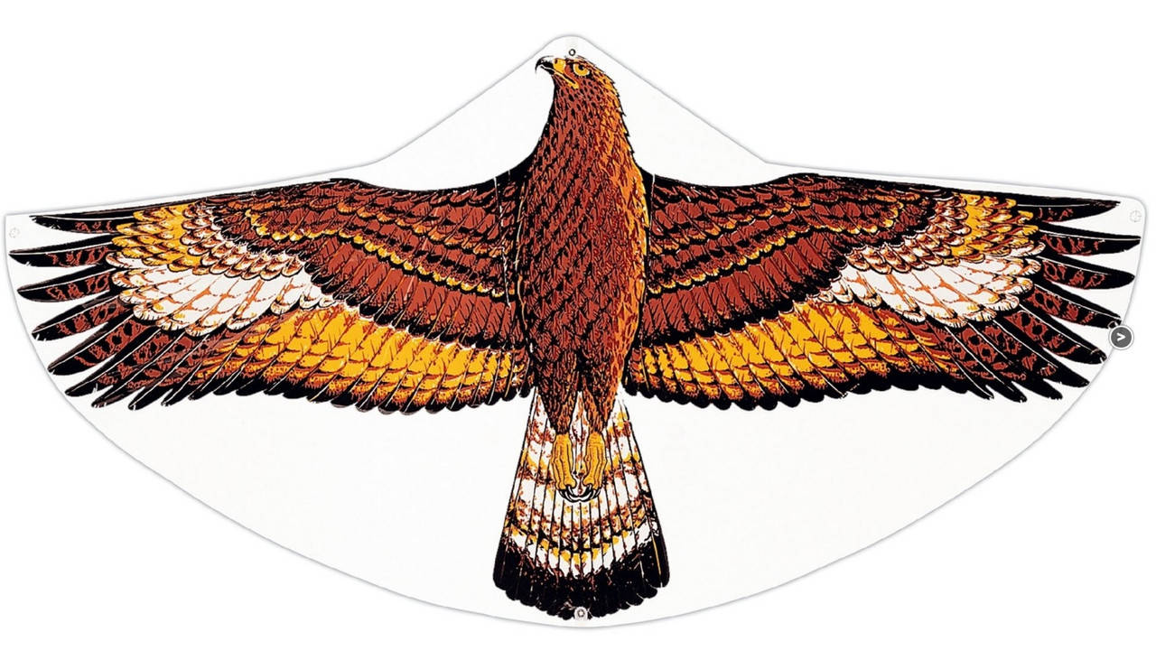 

Детский воздушный змей Steinadler (Беркут), Paul Guenter