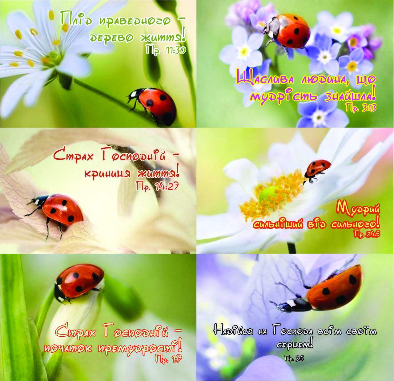 

Наклейки №39 Ніжність