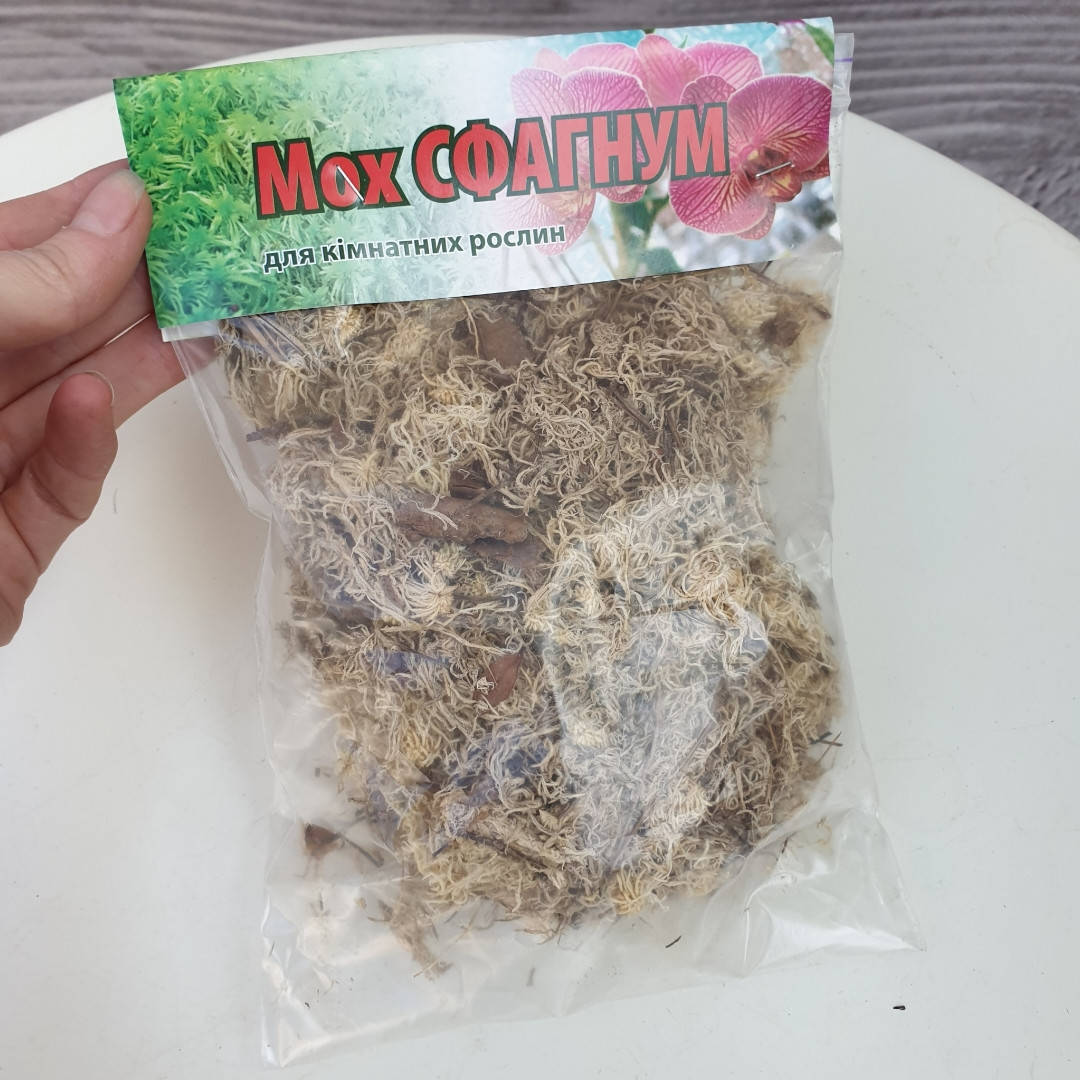 

Мох сфагнум