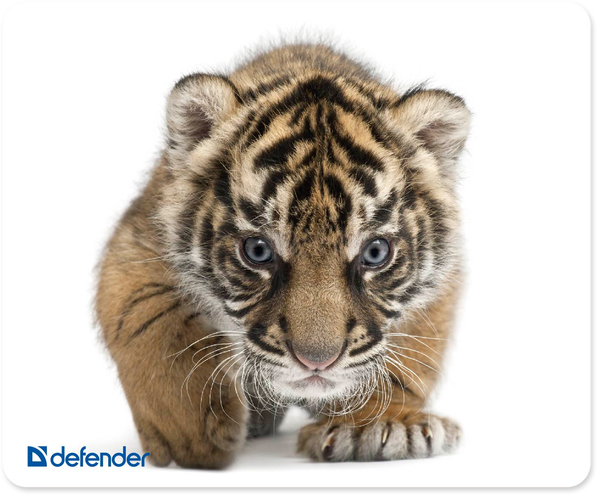 

Килимок для Миші DEFENDER Silk шовковий, тканина, Little Tiger