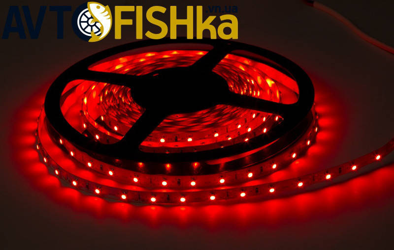 

Стрічка світлодіодна / Лента светодиодная красная 60 SMD (35\28) 24V / 5 м