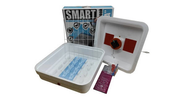 

Инкубатор Рябушка Smart turbo 70