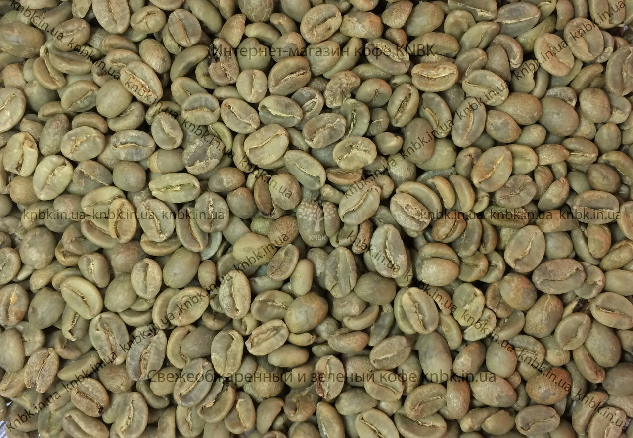 

Арабика Колумбия Эксельсо (Arabica Colombia Excelso) 1кг. ЗЕЛЕНЫЙ