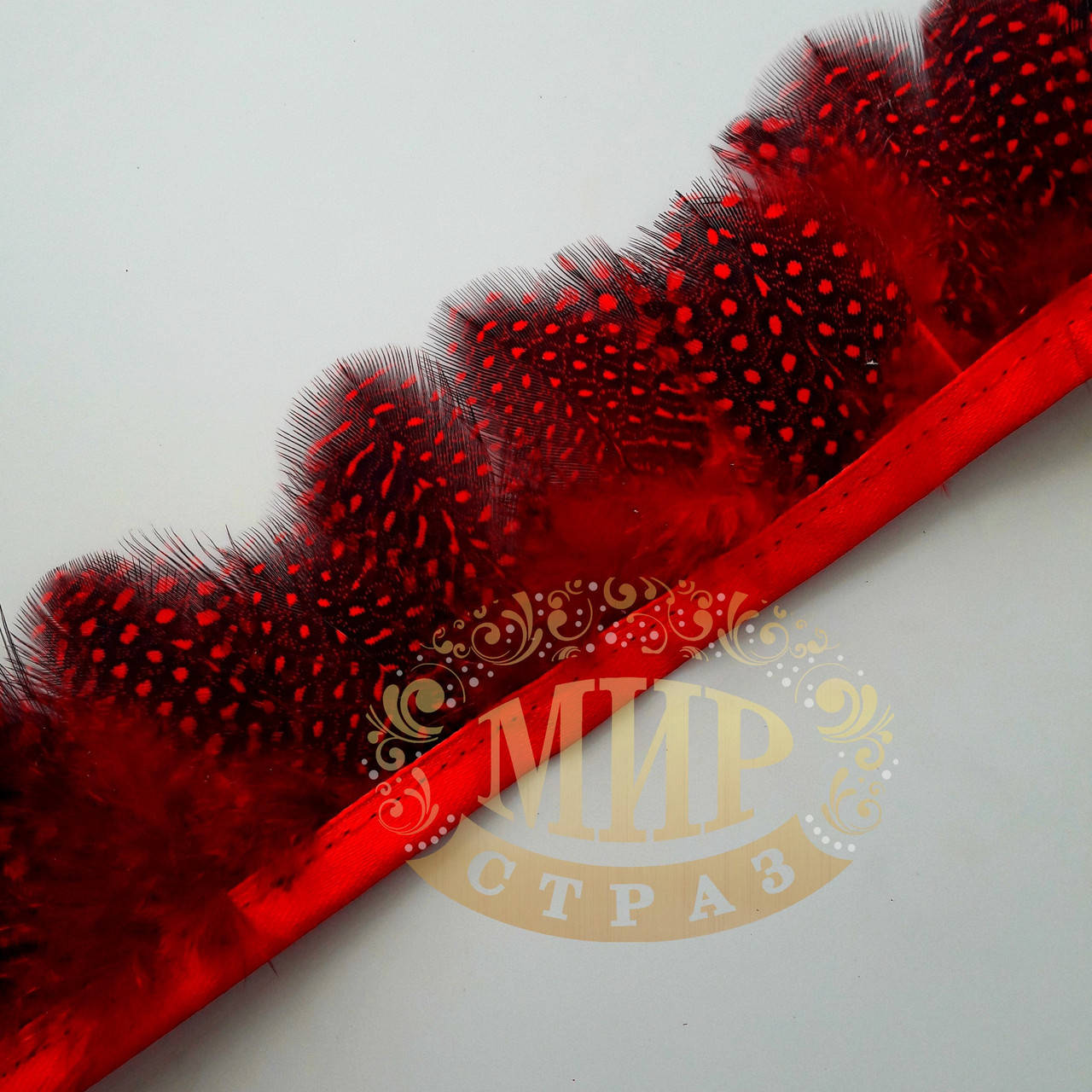 

Тесьма перьевая из пера цесарки, цвет Siam, 0,5м, высота 5,5 см