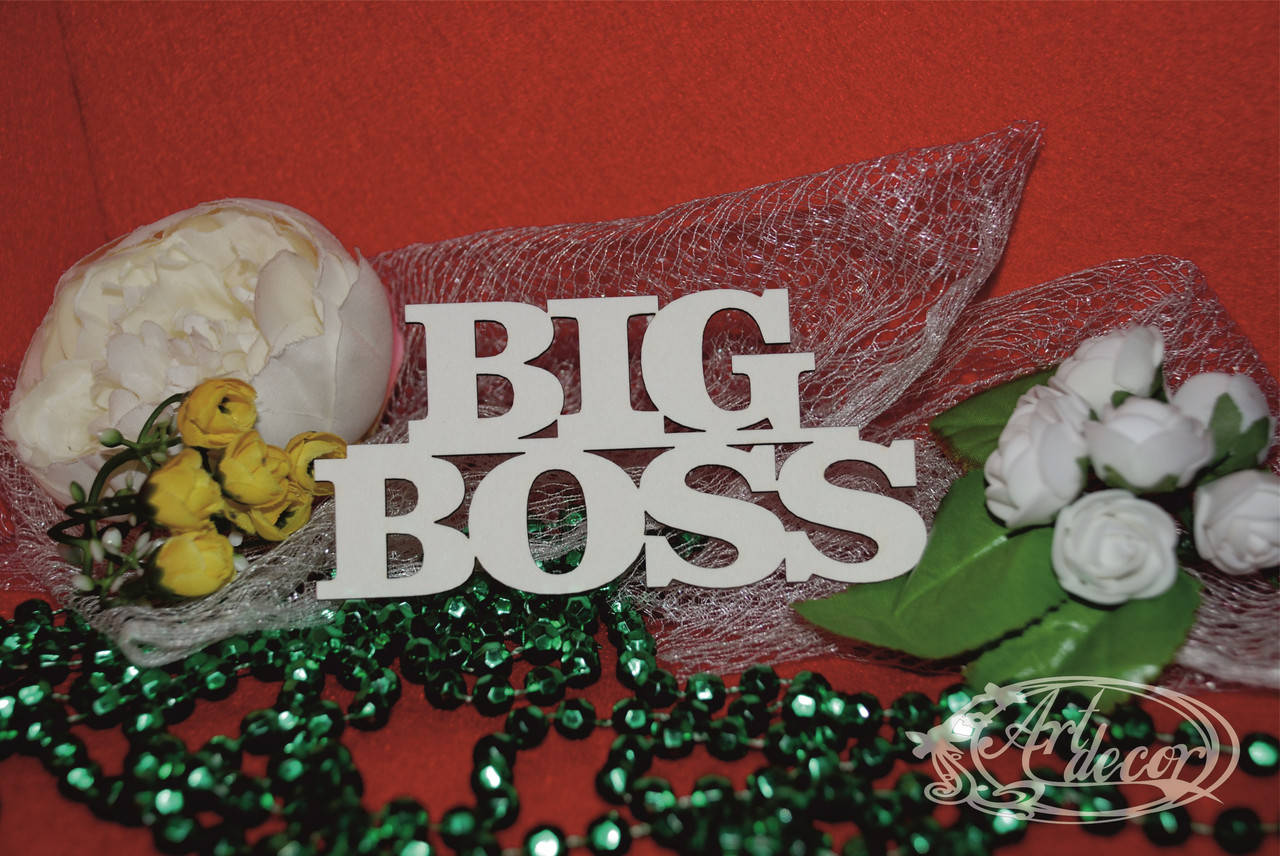 

Big Boss