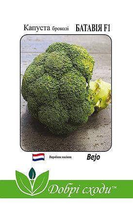

Брокколи Батавия F1 20шт.