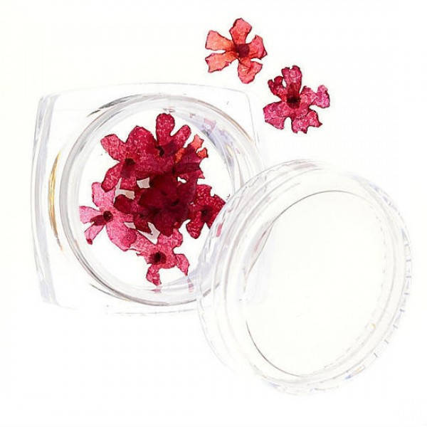 

Сухоцветы №55, Розовый