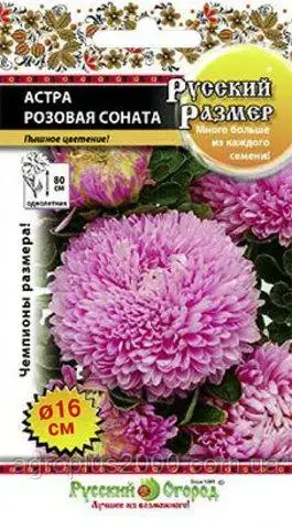 

Семена Астра Русский размер Розовая Соната 0,2 грамма НК, Розовый