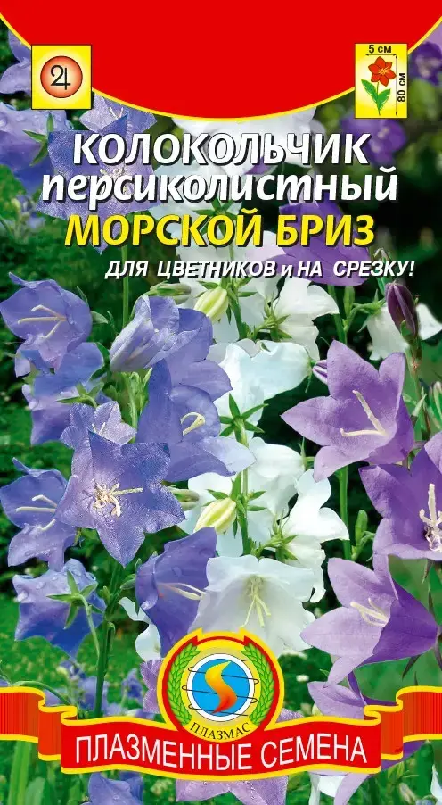 

Колокольчик персиколистный Морской Бриз 0,1г
