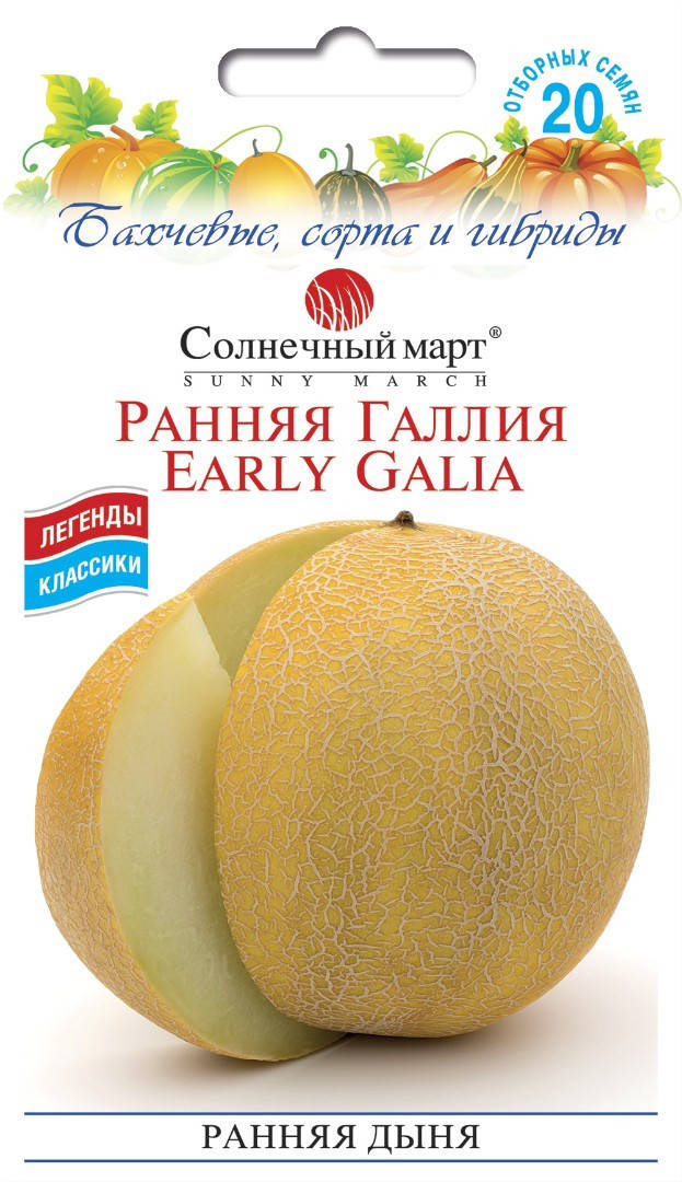 

Дыня Ранняя Галия, 20шт.