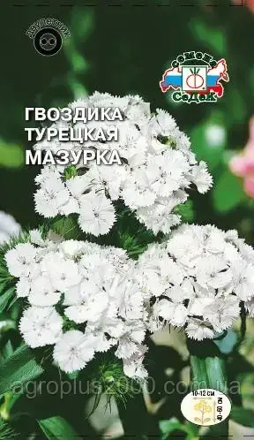 

Семена Гвоздика турецкая Мазурка 0,5 грамма Седек, Белый